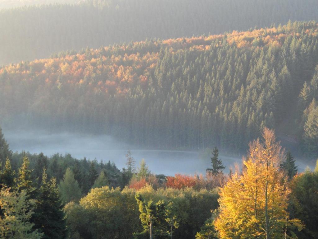 Landhotel Fernsicht Winterberg Pokoj fotografie